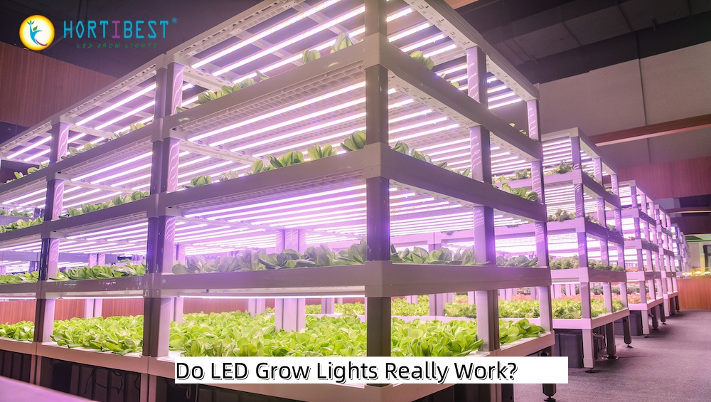 Does LED Grow Lights Really Work？