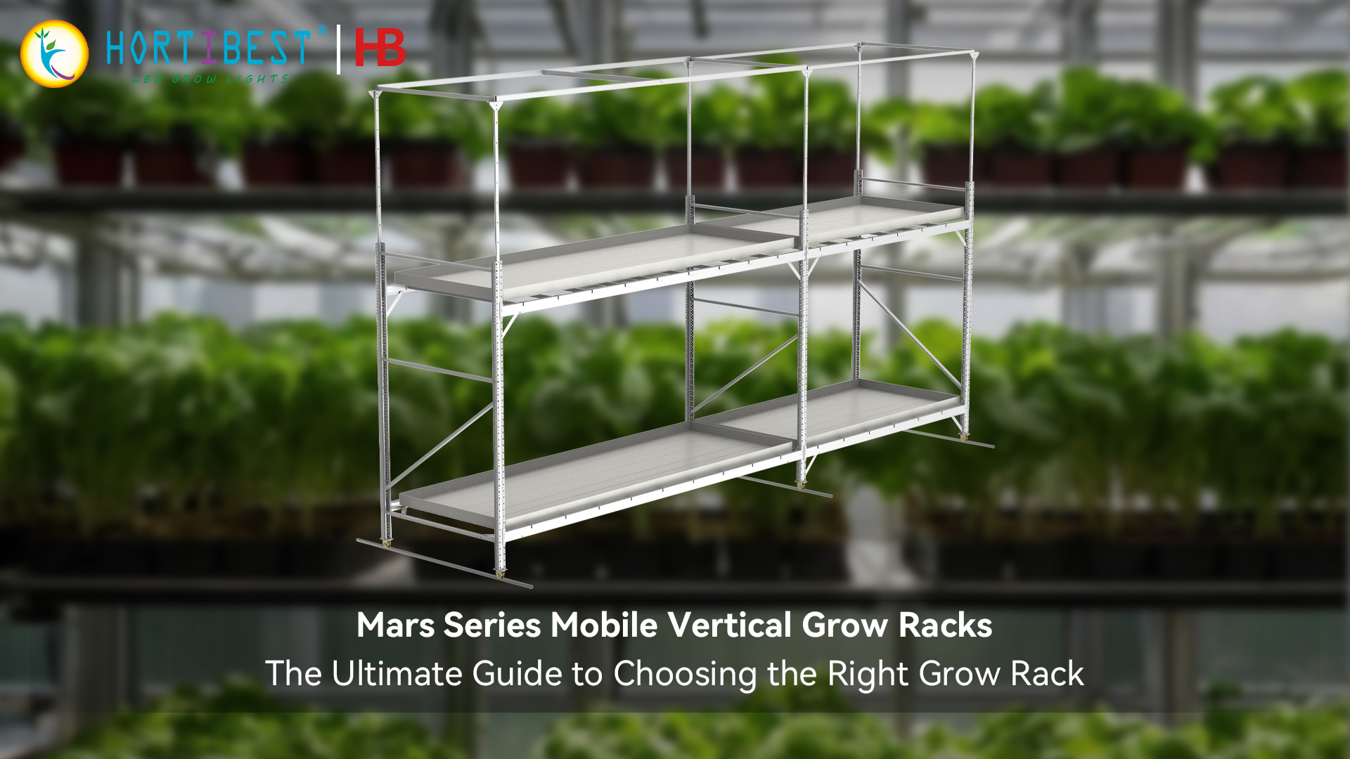 Unlock Your Greenhouse's True Potential: The Ultimate Guide to Choosing ...